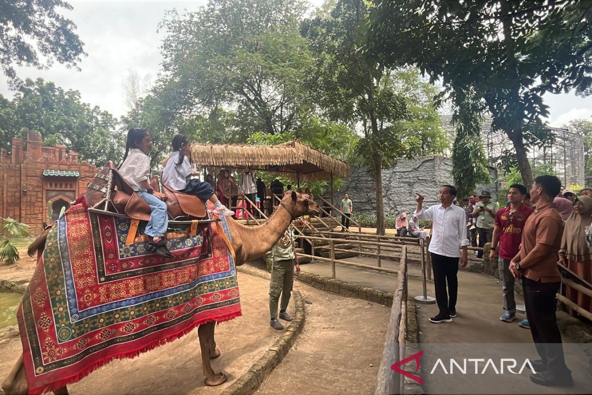 Libur akhir tahun, Jokowi ajak para cucu tamasya ke Solo Safari